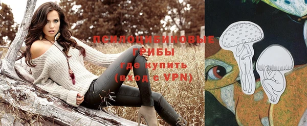 спайс Алексин