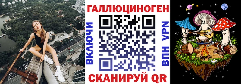 Псилоцибиновые грибы GOLDEN TEACHER Купить закладки Ростов-на-Дону